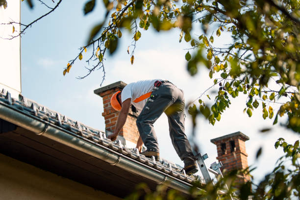 Best Gutter Installation and Roofing  in Parshall, ND