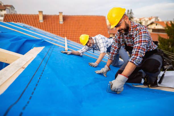 Best Roof Maintenance Services  in Parshall, ND