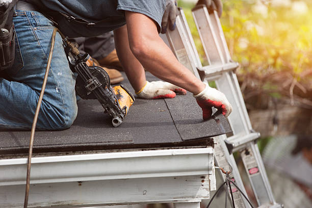Best Roof Gutter Cleaning  in Parshall, ND