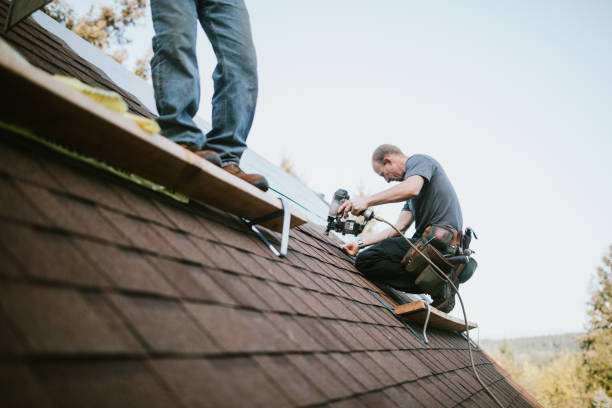 Best Roof Repair Services  in Parshall, ND