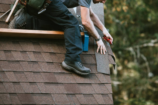 Best Flat Roof Repair Services  in Parshall, ND
